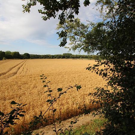 Cowslip Barn Annexe, Countryside Stay Near צ'יצ'סטר מראה חיצוני תמונה