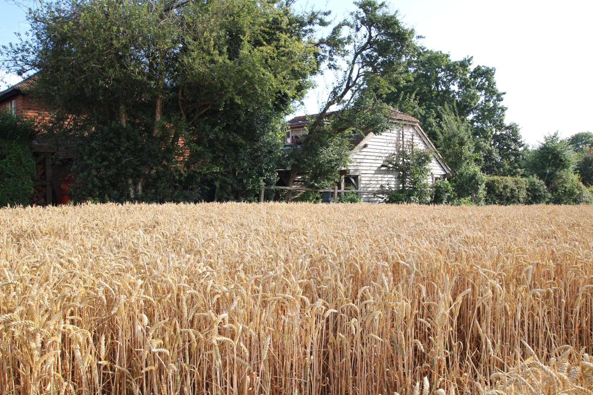 Cowslip Barn Annexe, Countryside Stay Near צ'יצ'סטר מראה חיצוני תמונה